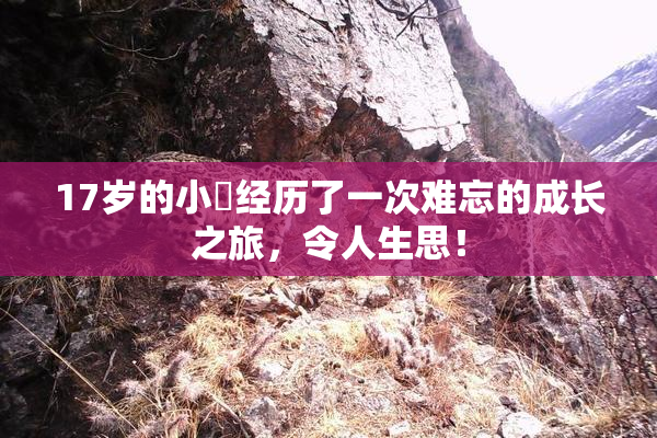 17岁的小泬经历了一次难忘的成长之旅，令人生思！
