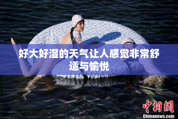 好大好湿的天气让人感觉非常舒适与愉悦