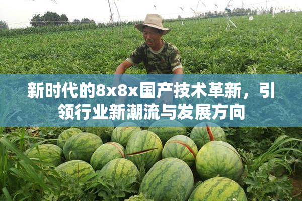 新时代的8x8x国产技术革新，引领行业新潮流与发展方向