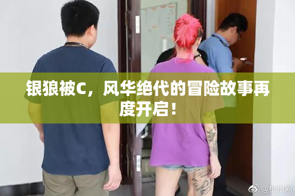 银狼被C，风华绝代的冒险故事再度开启！