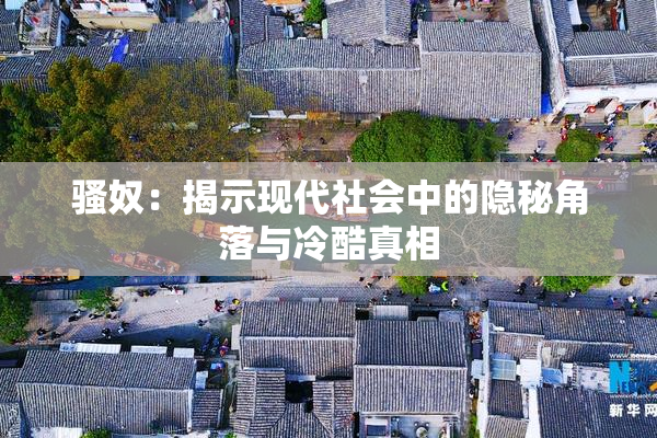 骚奴：揭示现代社会中的隐秘角落与冷酷真相