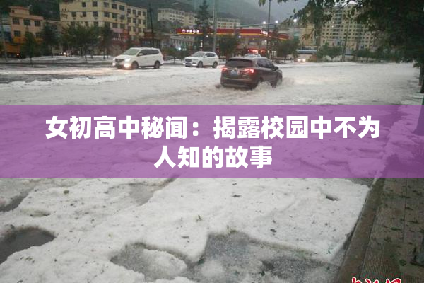 女初高中秘闻：揭露校园中不为人知的故事