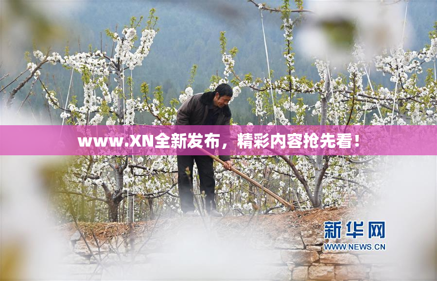 www.XN全新发布，精彩内容抢先看！