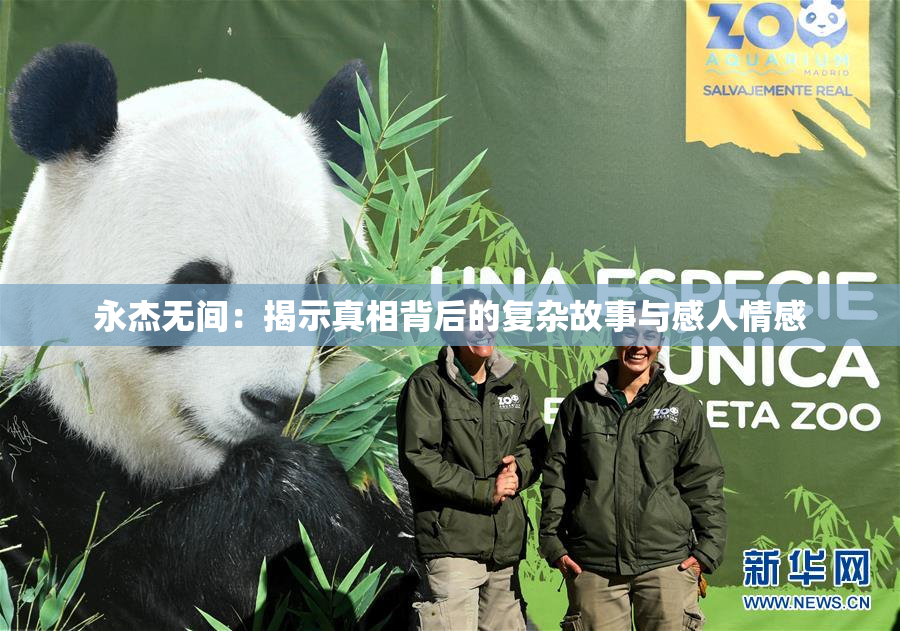 永杰无间：揭示真相背后的复杂故事与感人情感