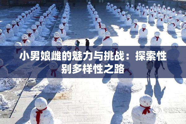 小男娘雌的魅力与挑战：探索性别多样性之路