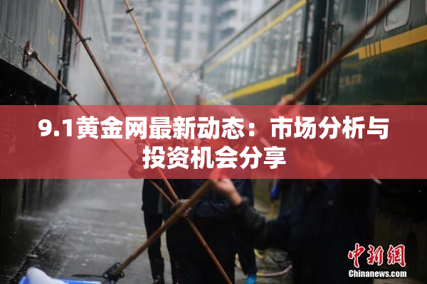 9.1黄金网最新动态：市场分析与投资机会分享