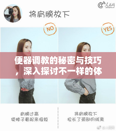 便器调教的秘密与技巧，深入探讨不一样的体验