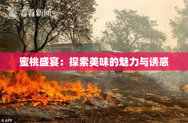 蜜桃盛宴：探索美味的魅力与诱惑