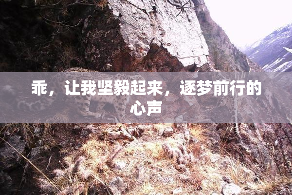 乖，让我坚毅起来，逐梦前行的心声