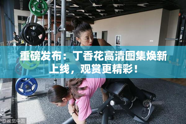 重磅发布：丁香花高清图集焕新上线，观赏更精彩！
