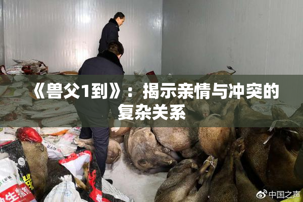 《兽父1到》：揭示亲情与冲突的复杂关系