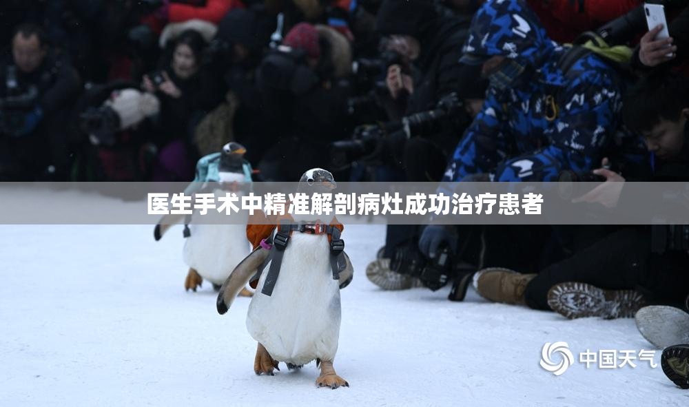 医生手术中精准解剖病灶成功治疗患者