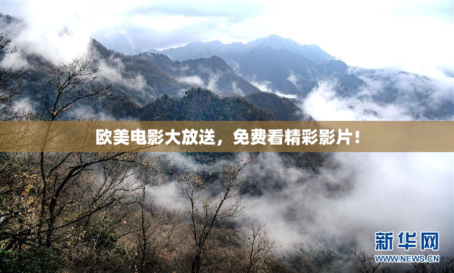 欧美电影大放送，免费看精彩影片！