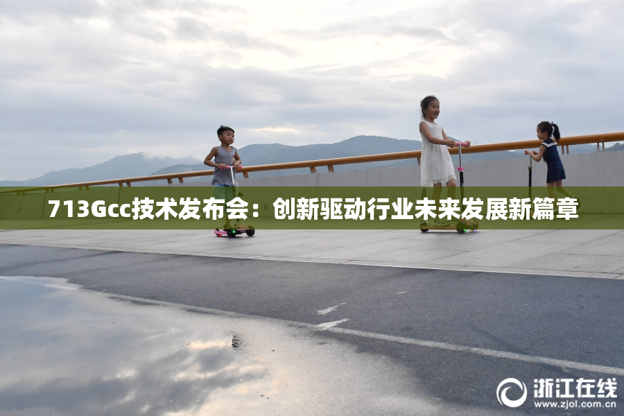 713Gcc技术发布会：创新驱动行业未来发展新篇章