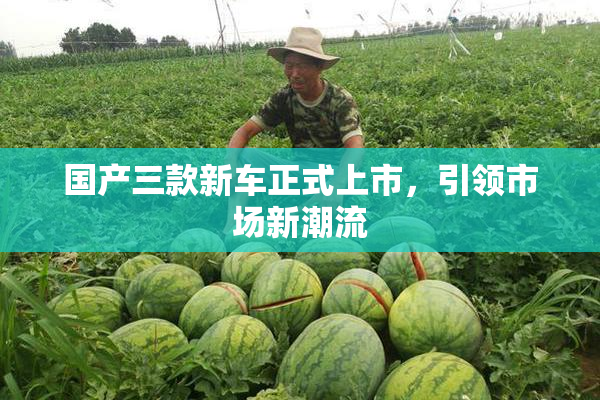 国产三款新车正式上市，引领市场新潮流