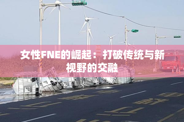 女性FNE的崛起：打破传统与新视野的交融
