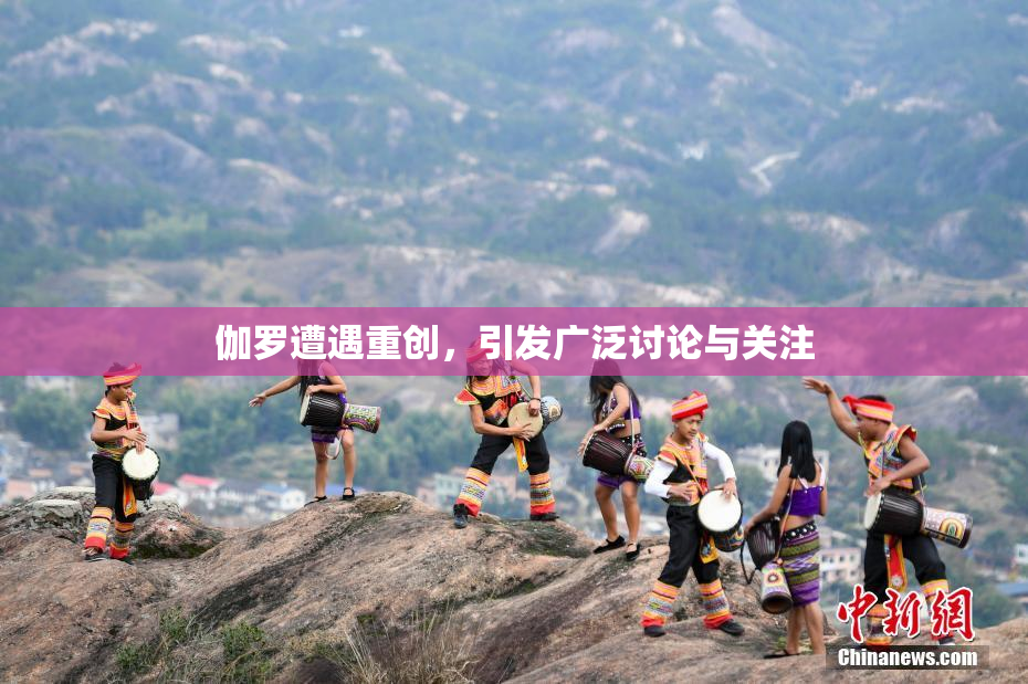 伽罗遭遇重创，引发广泛讨论与关注
