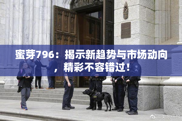 蜜芽796：揭示新趋势与市场动向，精彩不容错过！
