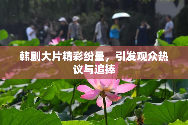 韩剧大片精彩纷呈，引发观众热议与追捧