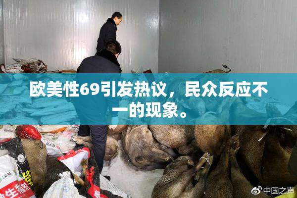 欧美性69引发热议，民众反应不一的现象。