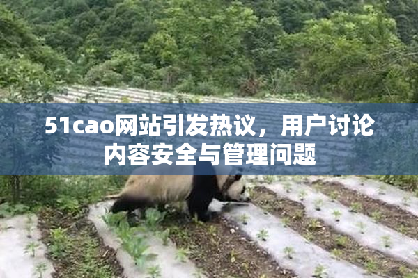 51cao网站引发热议，用户讨论内容安全与管理问题
