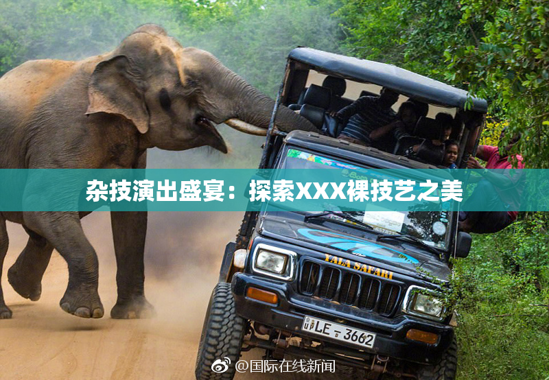 杂技演出盛宴：探索XXX裸技艺之美