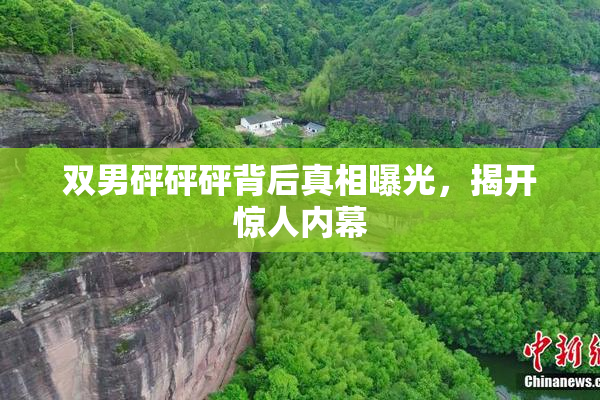 双男砰砰砰背后真相曝光，揭开惊人内幕