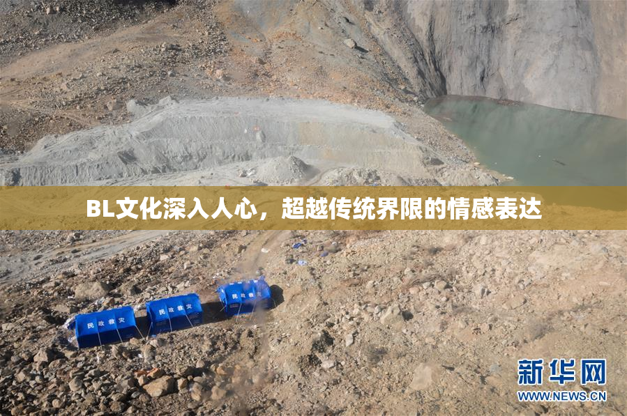 BL文化深入人心，超越传统界限的情感表达
