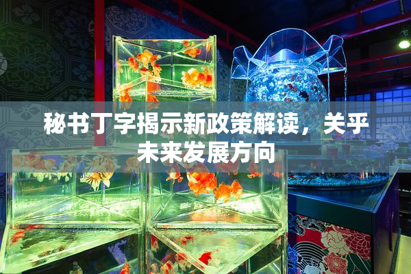 秘书丁字揭示新政策解读，关乎未来发展方向