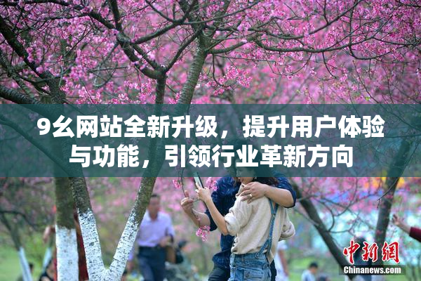 9幺网站全新升级，提升用户体验与功能，引领行业革新方向