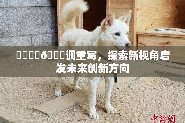 ❌‌❌‌🔞调重写，探索新视角启发未来创新方向