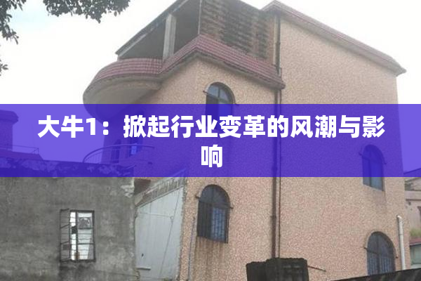大牛1：掀起行业变革的风潮与影响
