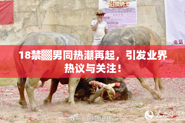 18禁▓男同热潮再起，引发业界热议与关注！