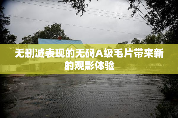 无删减表现的无码A级毛片带来新的观影体验