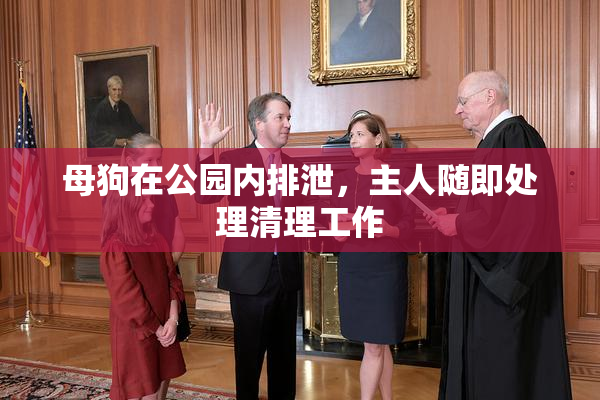母狗在公园内排泄，主人随即处理清理工作