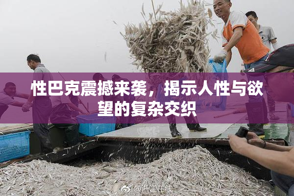性巴克震撼来袭，揭示人性与欲望的复杂交织