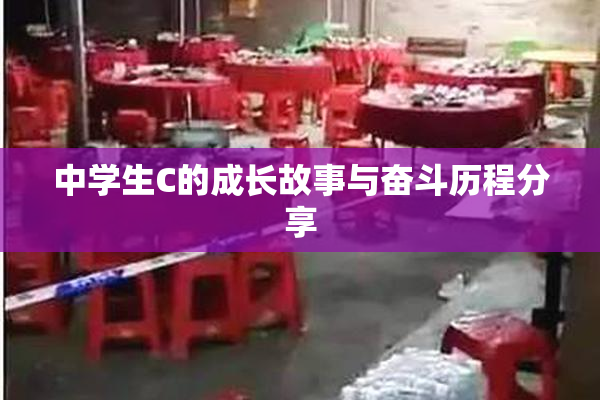 中学生C的成长故事与奋斗历程分享