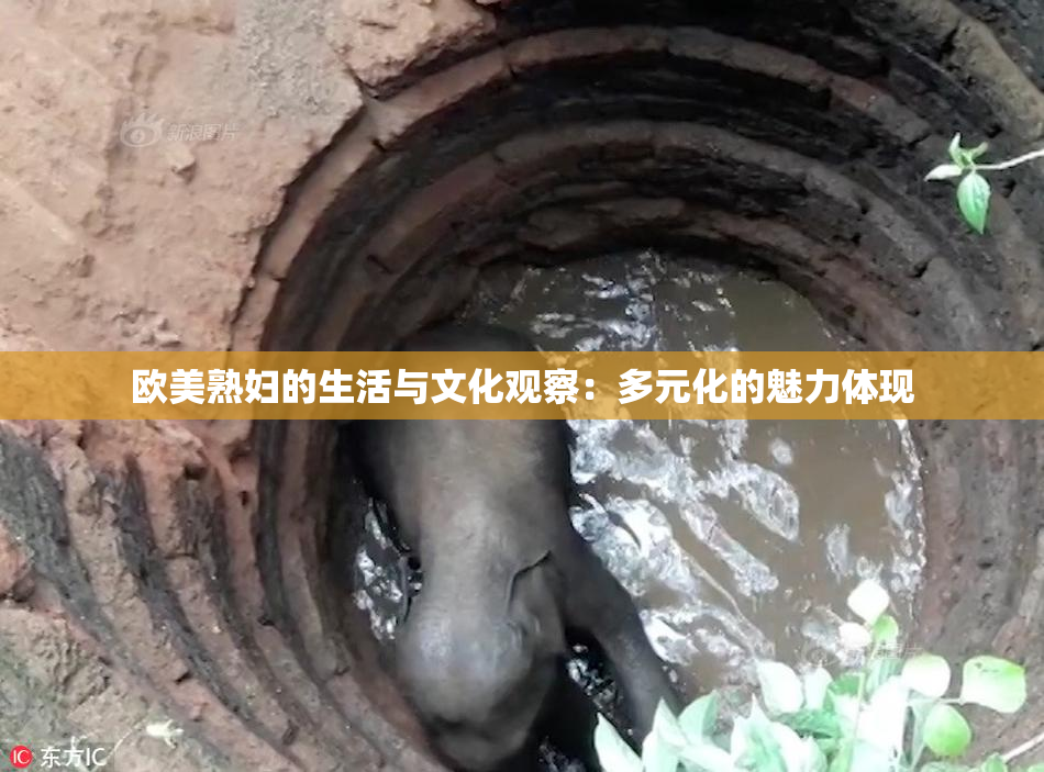 欧美熟妇的生活与文化观察：多元化的魅力体现