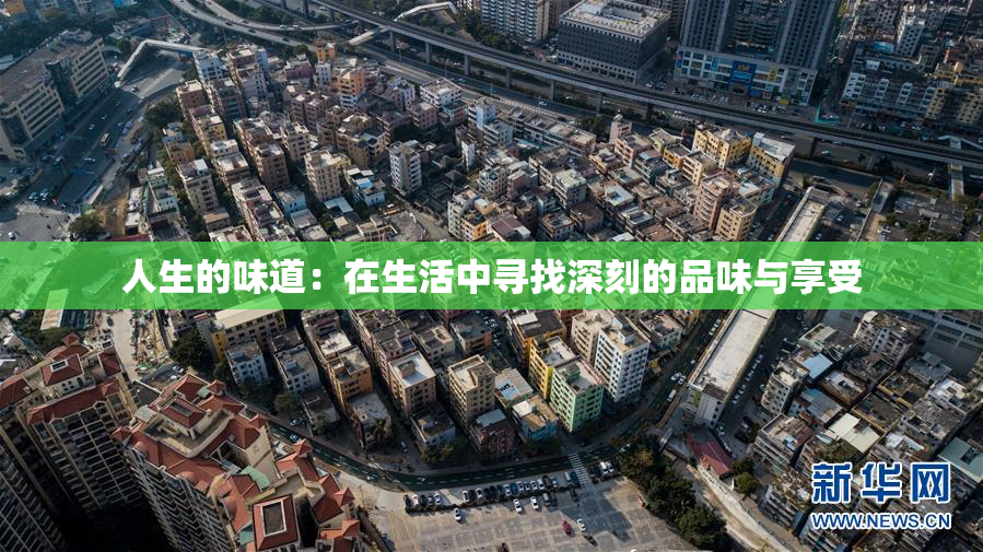 人生的味道：在生活中寻找深刻的品味与享受