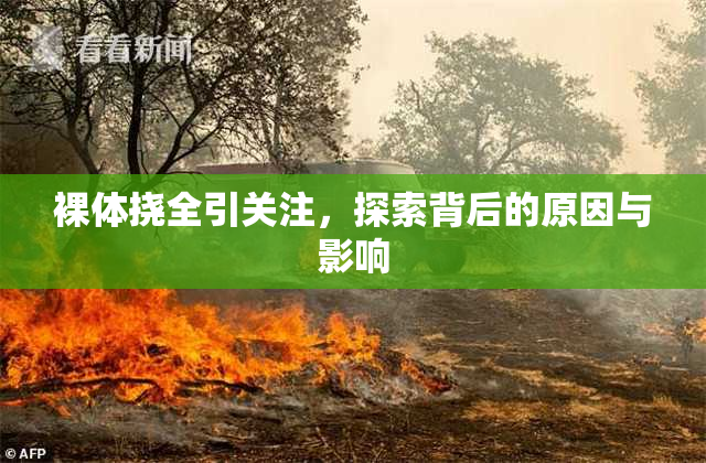 裸体挠全引关注，探索背后的原因与影响