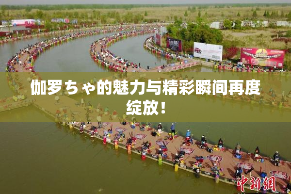 伽罗ちゃ的魅力与精彩瞬间再度绽放！