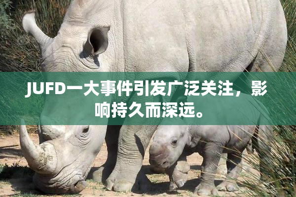 JUFD一大事件引发广泛关注，影响持久而深远。