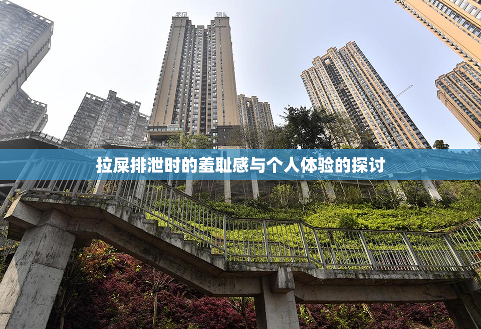 拉屎排泄时的羞耻感与个人体验的探讨