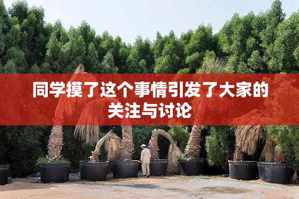 同学摸了这个事情引发了大家的关注与讨论