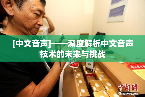 [中文音声]——深度解析中文音声技术的未来与挑战