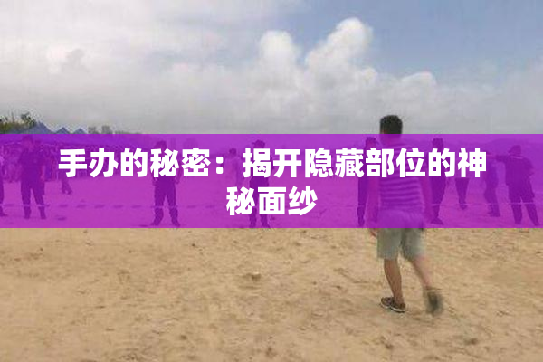 手办的秘密：揭开隐藏部位的神秘面纱