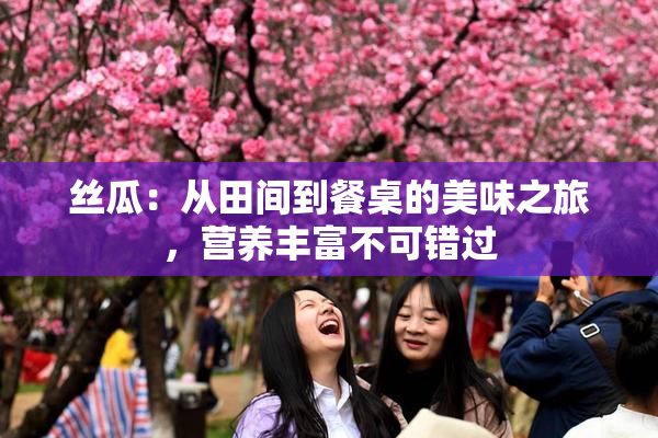 丝瓜：从田间到餐桌的美味之旅，营养丰富不可错过