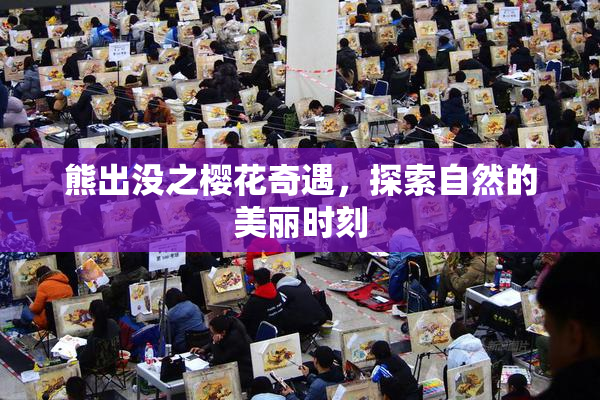 熊出没之樱花奇遇，探索自然的美丽时刻