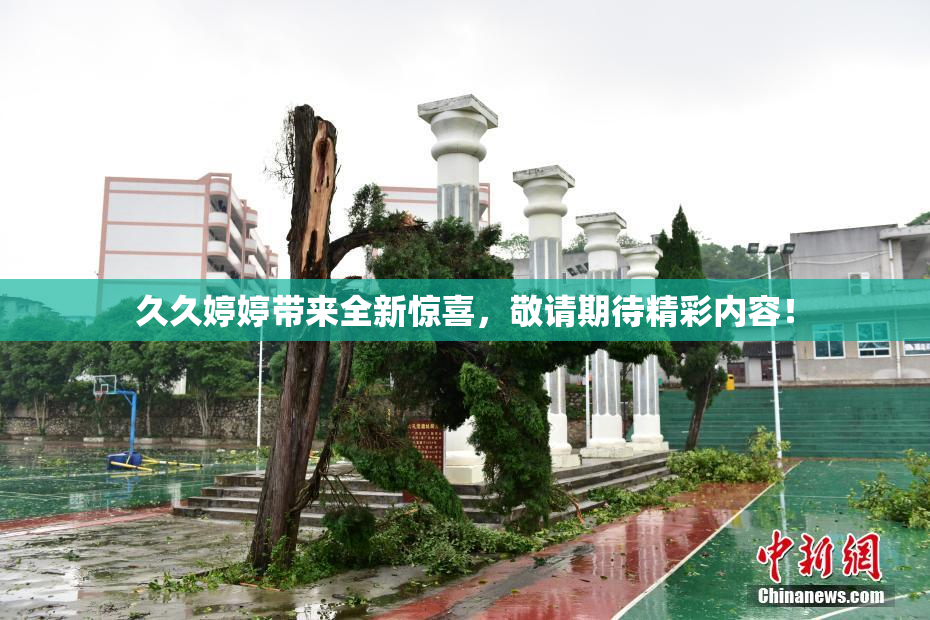 久久婷婷带来全新惊喜，敬请期待精彩内容！