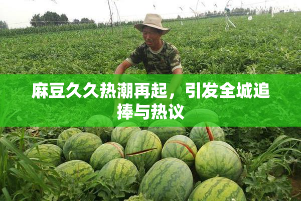 麻豆久久热潮再起，引发全城追捧与热议